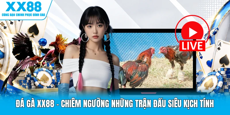 Đá Gà XX88 - Chiêm Ngưỡng Những Trận Đấu Siêu Kịch Tính